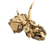 Dinosaur Fossils Triceratops Skull thumbnail