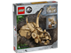 Dinosaur Fossils Triceratops Skull thumbnail