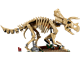 Triceratops thumbnail