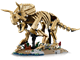 Triceratops thumbnail