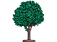 Trees and Signs thumbnail