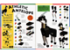 LEGO Modellers Animals thumbnail