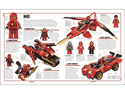 Ninjago visual dictionary 2019 2025