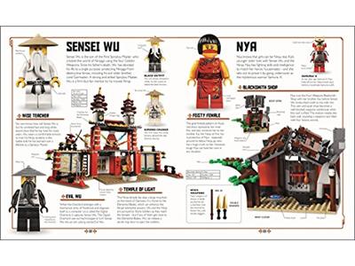 lego ninjago visual dictionary 2019