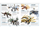 LEGO Ninjago The Visual Dictionary thumbnail