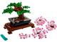 Bonsai Tree thumbnail