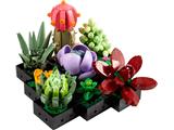 10309 LEGO Botanical Collection Succulents