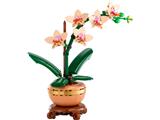 10343 LEGO Botanicals Mini Orchid