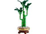 10344 LEGO Botanicals Lucky Bamboo