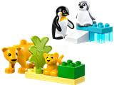 10442 LEGO Duplo Wild Animal Families Penguins & Lions