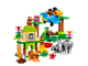 Jungle thumbnail