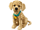 Golden Retriever Puppy thumbnail