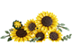Sunflower Bouquet thumbnail