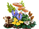 Woodland Mushrooms thumbnail