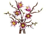 11510 LEGO Botanicals Magnolia Branches