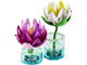 Water Lilies thumbnail