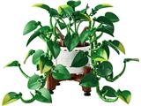 11512 LEGO Botanicals Hanging Golden Pothos