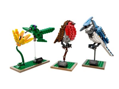 21301 LEGO Ideas Birds