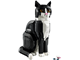 Tuxedo Cat thumbnail