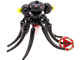 Octopus thumbnail