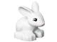 Vet Rabbit thumbnail