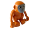 Zoo Monkey thumbnail