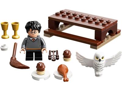 LEGO 30420 Harry Potter and Hedwig