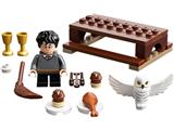 Lego Harry Potter Coruja Hedwig 75979