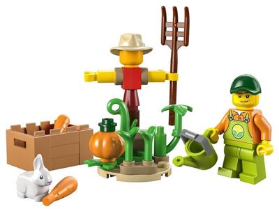 30590 LEGO City Farm Scarecrow