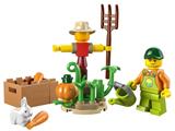 30590 LEGO City Farm Scarecrow thumbnail image
