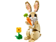 Cute Bunny thumbnail