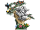 Wild Animals Family of Koalas thumbnail