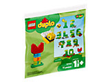 40304 LEGO Duplo Learning Numbers thumbnail image