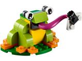 40326 LEGO Monthly Mini Model Build Frog thumbnail image