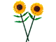 Sunflowers thumbnail