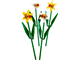 Daffodils thumbnail