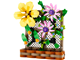 Flower Trellis Display thumbnail