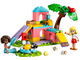 Guinea Pig Playground thumbnail