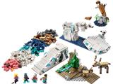 45203 LEGO Education Arctic Animals Science Kit