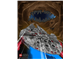 Millennium Falcon Poster thumbnail