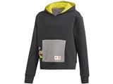 5006540 LEGO Adidas Bricks Boxy Hoodie