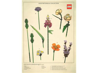 5007798 LEGO Flower Bouquet Art Print
