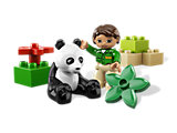 6173 LEGO Duplo Zoo Panda thumbnail image