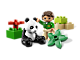 Panda thumbnail