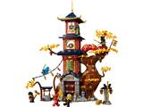 71795 LEGO Ninjago Dragons Rising Temple of the Dragon Energy Cores thumbnail image