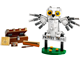 Hedwig at 4 Privet Drive thumbnail
