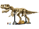 Dinosaur Fossils Tyrannosaurus rex thumbnail