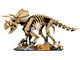 Triceratops thumbnail