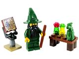 7955 LEGO Kingdoms Wizard