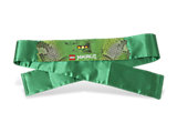 853406 LEGO Green Bandana